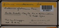Image Associated With the Occurence